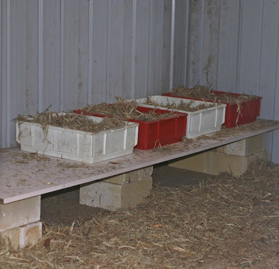 New Plan: Guide Plans for chicken laying boxes