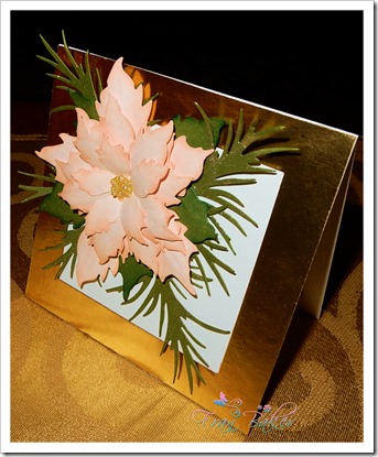 Soft Pink Poinsettia Card-Mary Ann_FB2018