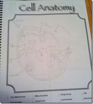 2012-09-16 First Grade (2)