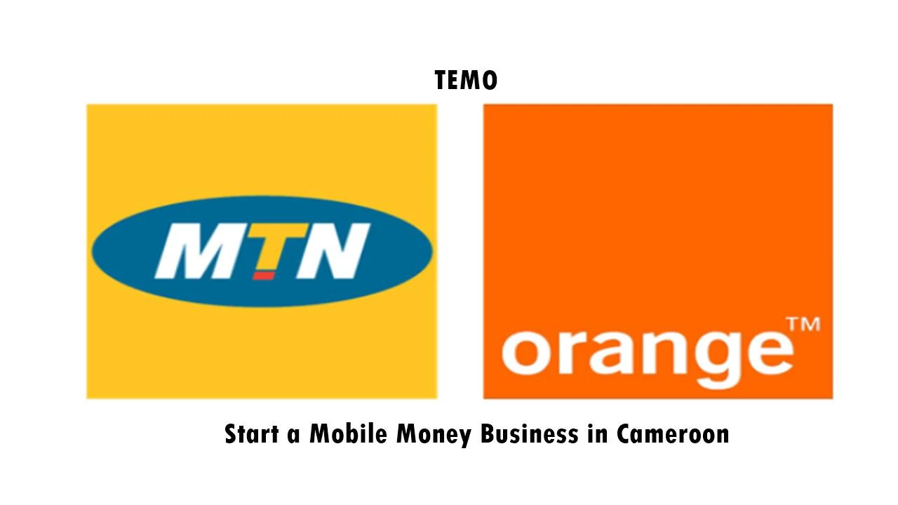 How To Start a Mobile Money Business in Cameroon?