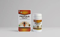 Propolis Indonesia hasana