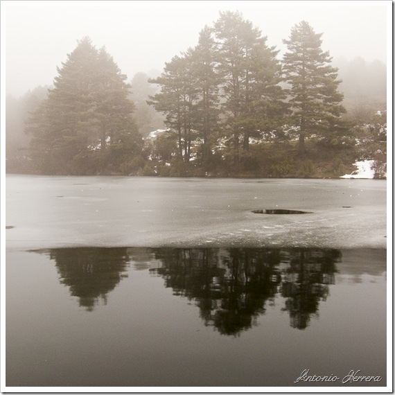 La Barranca, entre la niebla.