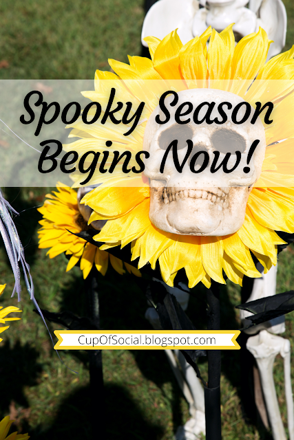 Spooky Season Begins Now! It's almost August and I officially start my spooky season (AKA Halloween) on August 1. If you too wish to start celebrating spooky season early but don't want to burn on slasher flicks and ghost hunts, I have a quick list to bring some spooky to the end of your summer.