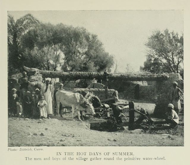 في أيام الصيف الحارة يجتمع رجال وصبية القرية حول الساقية.