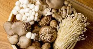 Mushroom Cultivation Training In Karnataka