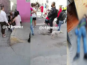 Video e Imágenes: Así quedaron y así le lloran a sus tres ratas muertas que enfrentaron a Policías, se dedicaban al robo de vehículo