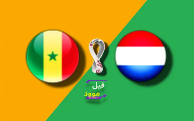 بث مباشر مبارات السنغال و هولندا