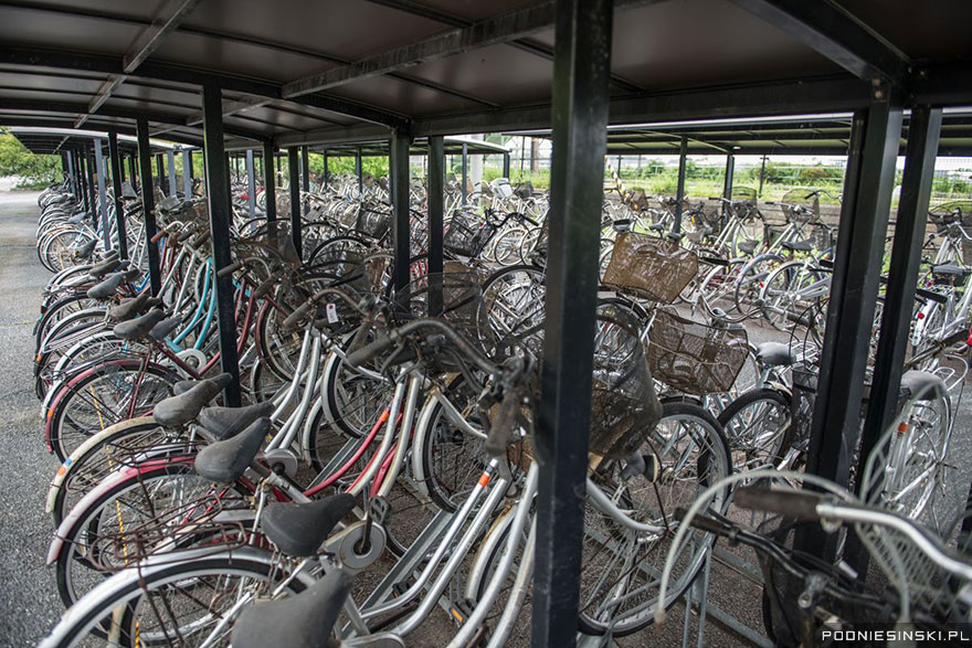 These bicycles were left behind when residents fled - Never-Before-Seen Images Reveal How The Fukushima Exclusion Zone Was Swallowed By Nature