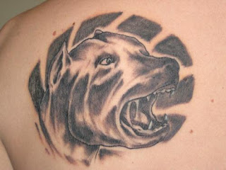 Dog Tattoo Design Photo Gallery - Dog Tattoo Ideas