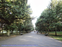 Avenida The Broadwalk en Regent's Park