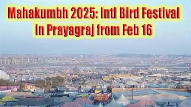 mahakumbh-2025-intl-bird-festival-in