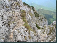 DSCN4887