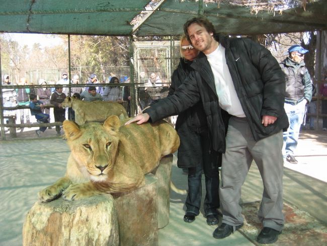 Unbelieavable Pictures from Lujan Zoo in Argentina