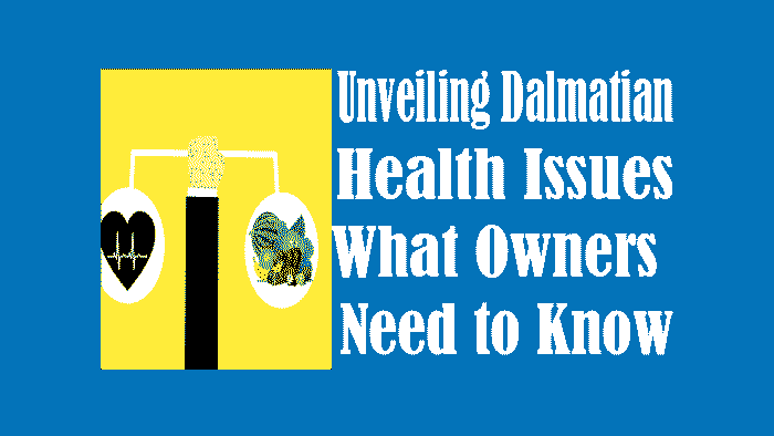 Unveiling Dalmatian Health Issues: What Owners Need to Know