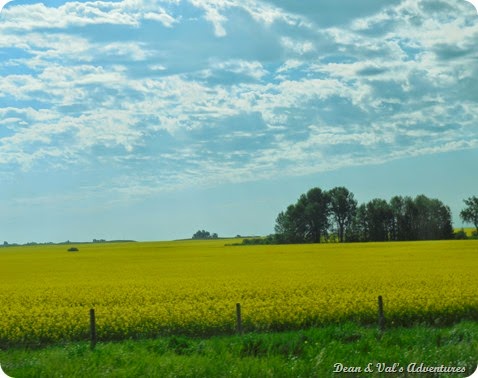 DSCN0320