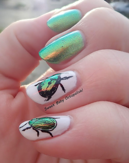 KBShimmer Let it Beetle