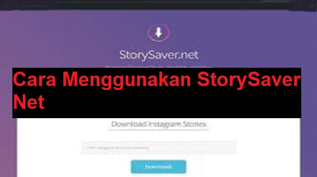 StorySaver Net