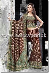 latest saari. indian saari. pakistani saari. pakistani bridial dress lehnga choli (30)