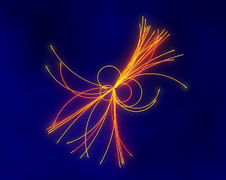 Bosone Higgs, la particella Dio