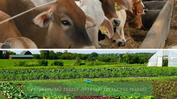 Pengembangan Konsep Integrasi Ternak dan Tanaman Pengembangan Konsep Integrasi Ternak dan Tanaman