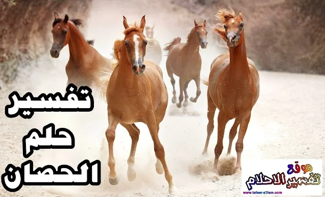 رؤية الحصان او الخيل في المنام