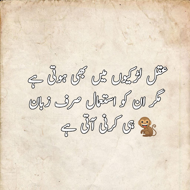 funny quotes in urdu 2023, jokes in urdu