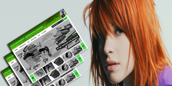 Faceblog Evolutions