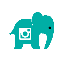  photo instagram.png