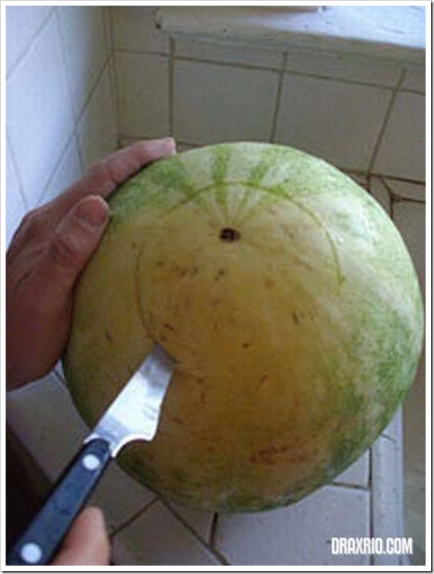 watermelon_01