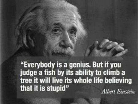 Albert Einstein Quotes