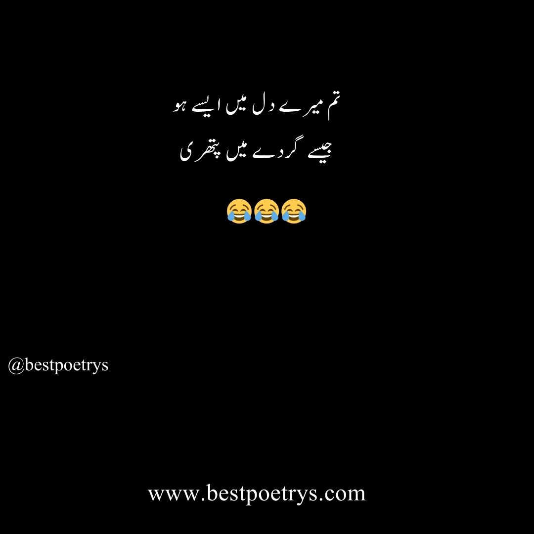 Funny poetry in urdu
