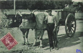 pays basque autrefois agriculture