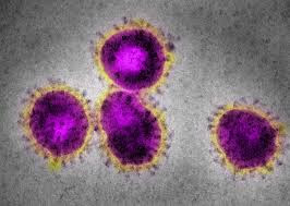 Coronavirus 