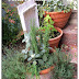 Drying Herbs For Pantry