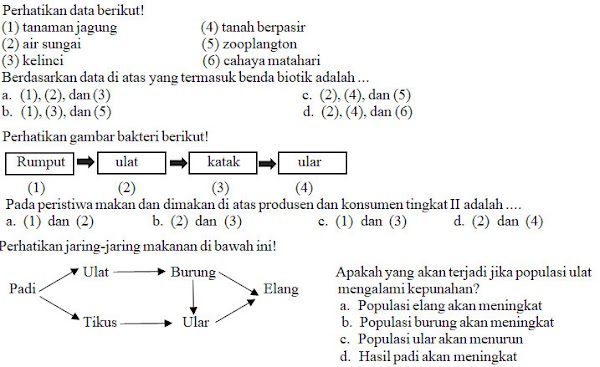 Soal PTS IPA Kelas 7 Semester Ganjil