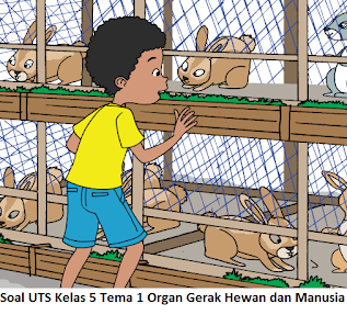 Soal PTS kelas 5 organ gerak hewan dan manusia