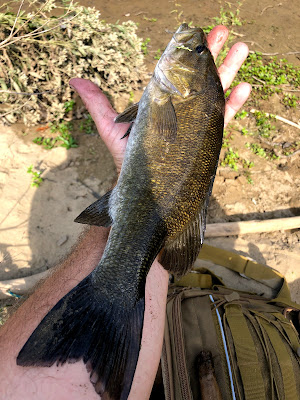 smallmouth bass Pittsburgh North Park