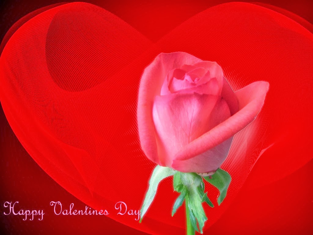 happy valentine's day 2014
