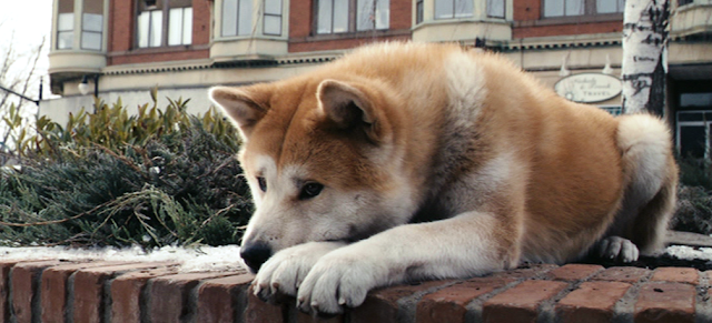 Hachiko: The Dog's Tale (Image from from ratsindear)