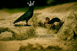 Photomanipulations: Cara membuat "Crow is King" dengan Photoshop