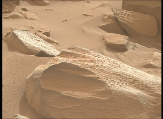 How Can Martian Rocks Contain These Wood Cells ?