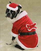 Pet dog christmas wallpapers