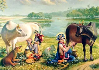 Lord krishn and his Brother Balram getting Milk From Sacred Cows