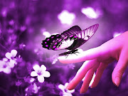 Purple Backgrounds HD (purple butterfly wallpaper)