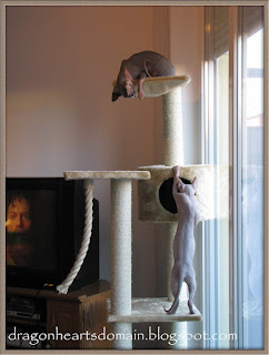 Cat Tree