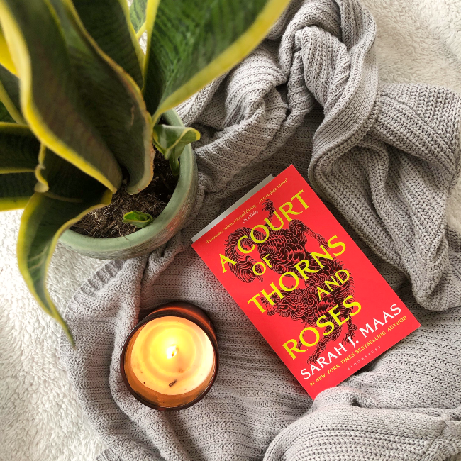 Cover for 'A Court of Thorn and Roses': bright red with bright yellow writing. Next to a lit white candle and blurry snake plant