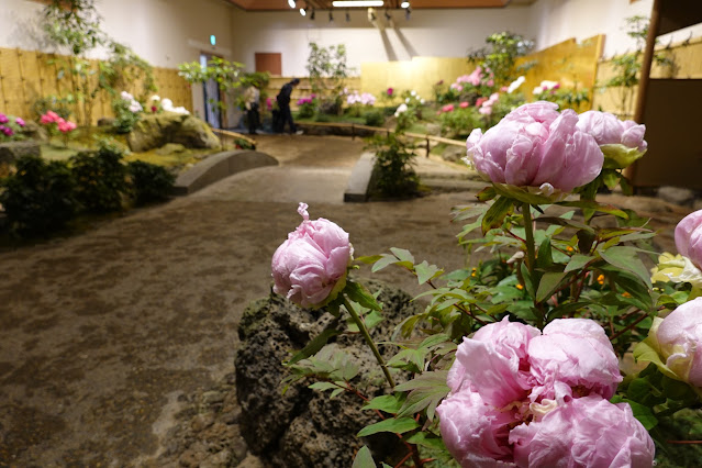 島根県松江市八束町波入 由志園 牡丹の館