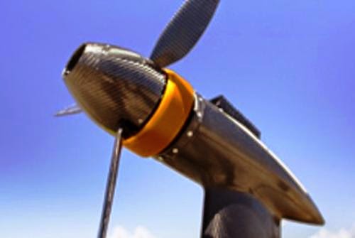 Southwest Airlines To Use Forest Biofuels