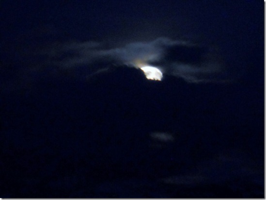 DSCN0397