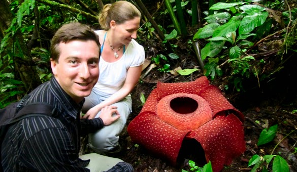 Visiting Bengkulu to See The Largest Flower in The World